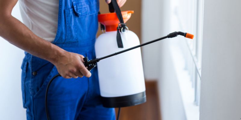 Como Fazer Dedetização em Casa em Suzano: 4 Dicas Simples Como fazer dedetização em casa em Suzano