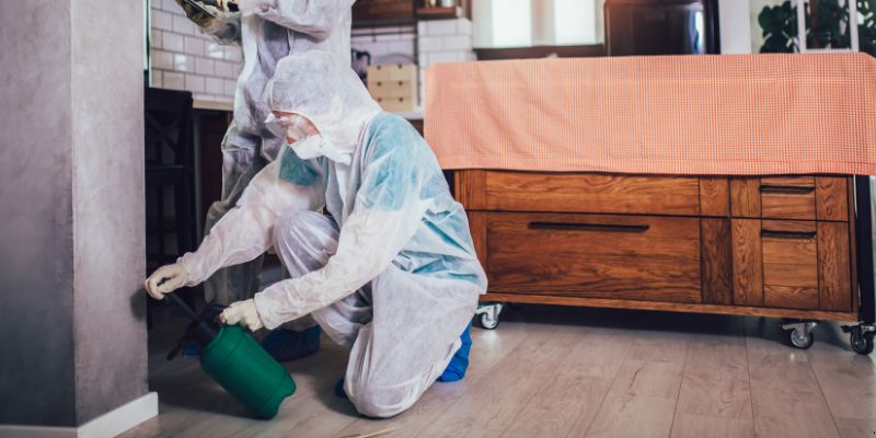 Dedetização em Apartamento Como Funciona em Suzano: Confira 4 Passos