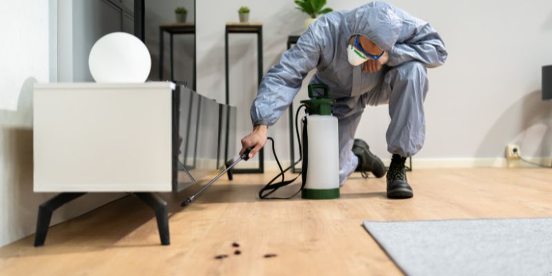 Quanto tempo dura uma dedetização em Suzano?